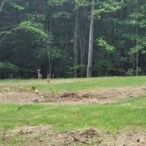 Photo #9 of Buccaneer Road, Moneta, VA 0.4 acres