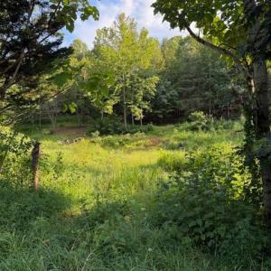 Photo #5 of Huntington Drive, Bedford, VA 5.1 acres