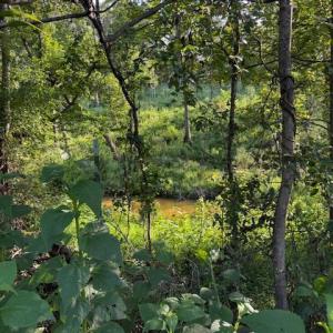 Photo #4 of Huntington Drive, Bedford, VA 5.1 acres