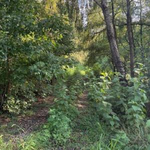 Photo #7 of Huntington Drive, Bedford, VA 5.1 acres