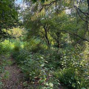 Photo #8 of Huntington Drive, Bedford, VA 5.1 acres