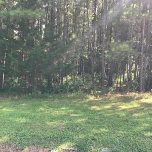 Photo #4 of Hidden Cove Lane, Lynch Station, VA 2.2 acres