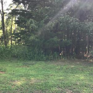Photo #3 of Hidden Cove Lane, Lynch Station, VA 2.2 acres
