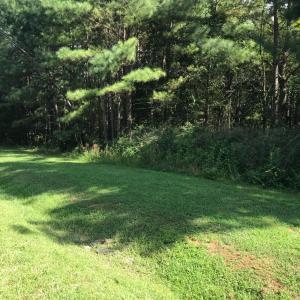 Photo #5 of Hidden Cove Lane, Lynch Station, VA 2.2 acres