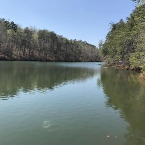 Photo #13 of Hidden Cove Lane, Lynch Station, VA 2.2 acres