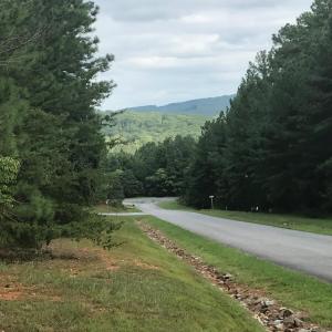 Photo #8 of Hidden Cove Lane, Lynch Station, VA 2.2 acres