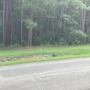 Photo #7 of Hidden Cove Lane, Lynch Station, VA 2.2 acres