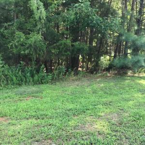 Photo #2 of Hidden Cove Lane, Lynch Station, VA 2.2 acres