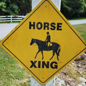 Photo #16 of 25 Riley Run Road, Forest, VA 2.1 acres