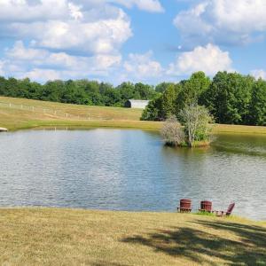 Photo #20 of 25 Riley Run Road, Forest, VA 2.1 acres