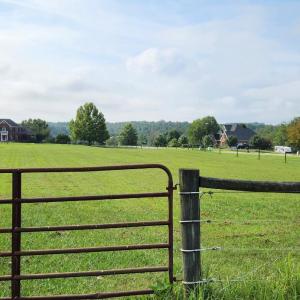 Photo #4 of 25 Riley Run Road, Forest, VA 2.1 acres