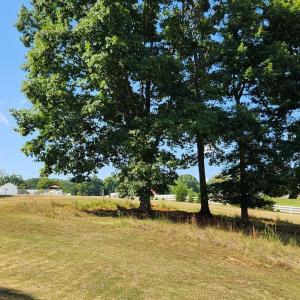 Photo #22 of 25 Riley Run Road, Forest, VA 2.1 acres