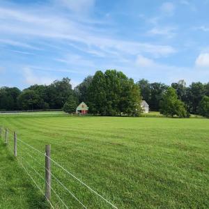 Photo #2 of 25 Riley Run Road, Forest, VA 2.1 acres