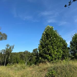 Photo #1 of 925 Elmwood Avenue, Lynchburg, VA 0.2 acres