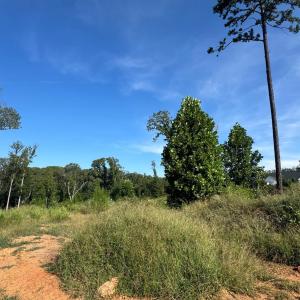 Photo #3 of 925 Elmwood Avenue, Lynchburg, VA 0.2 acres