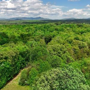 Photo #13 of Nelmonte Ln, Arrington, VA 4.9 acres