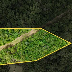 Photo #2 of Nelmonte Ln, Arrington, VA 4.9 acres