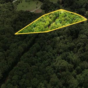 Photo #4 of Nelmonte Ln, Arrington, VA 4.9 acres