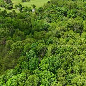 Photo #9 of Nelmonte Ln, Arrington, VA 4.9 acres