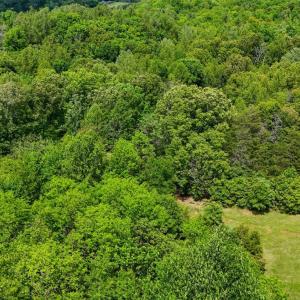 Photo #12 of Nelmonte Ln, Arrington, VA 4.9 acres