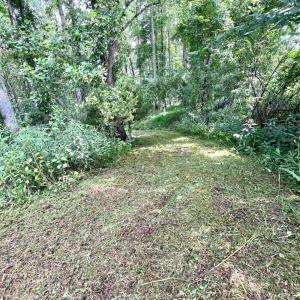 Photo #4 of 12 Gun Mountain Dr, Monroe, VA 5.0 acres