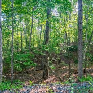 Photo #9 of Smoky Hollow Rd, Lynchburg, VA 5.5 acres