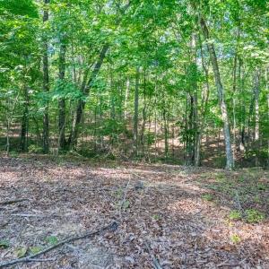 Photo #13 of Smoky Hollow Rd, Lynchburg, VA 5.5 acres