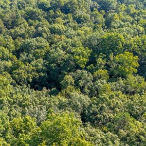 Photo #30 of Smoky Hollow Rd, Lynchburg, VA 5.5 acres