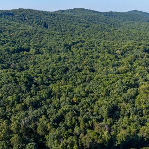 Photo #18 of Smoky Hollow Rd, Lynchburg, VA 5.5 acres