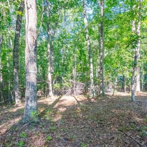 Photo #14 of Smoky Hollow Rd, Lynchburg, VA 5.5 acres