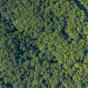 Photo #8 of Smoky Hollow Rd, Lynchburg, VA 5.5 acres