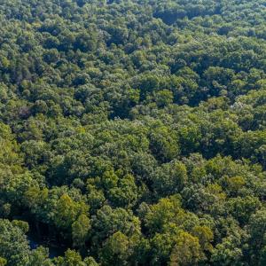 Photo #27 of Smoky Hollow Rd, Lynchburg, VA 5.5 acres
