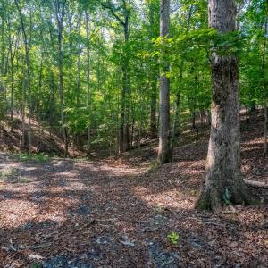 Photo #10 of Smoky Hollow Rd, Lynchburg, VA 5.5 acres