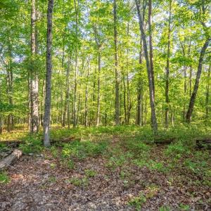 Photo #12 of Smoky Hollow Rd, Lynchburg, VA 5.5 acres