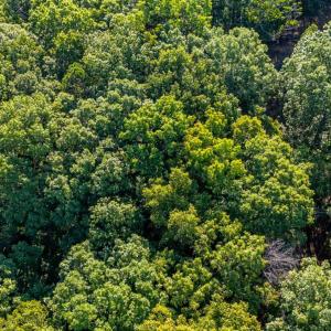 Photo #28 of Smoky Hollow Rd, Lynchburg, VA 5.5 acres