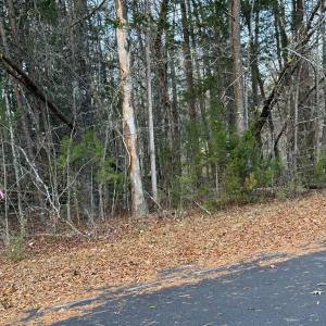 Photo #1 of Creekwood Trail, Farmville, VA 1.9 acres