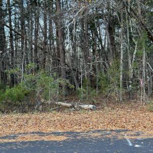 Photo #3 of Creekwood Trail, Farmville, VA 1.9 acres