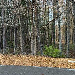 Photo #4 of Creekwood Trail, Farmville, VA 1.9 acres
