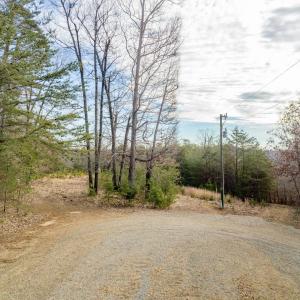 Photo #12 of Red Birch Dr Lot 34, Pittsville, VA 4.9 acres