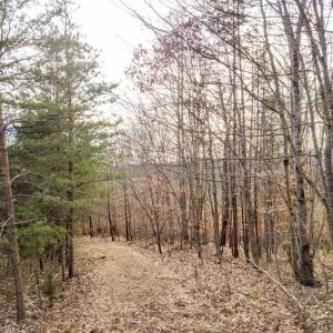 Photo #8 of Red Birch Dr Lot 34, Pittsville, VA 4.9 acres