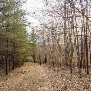Photo #11 of Red Birch Dr Lot 34, Pittsville, VA 4.9 acres