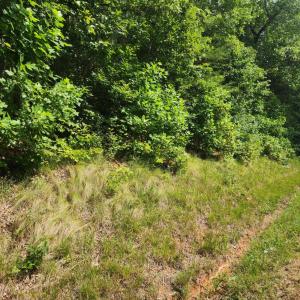 Photo #1 of Red House Road, Appomattox, VA 1.3 acres