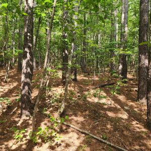 Photo #2 of Red House Road, Appomattox, VA 1.2 acres