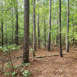 Photo #4 of Red House Road, Appomattox, VA 1.2 acres