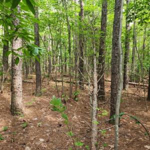 Photo #3 of Red House Road, Appomattox, VA 1.2 acres