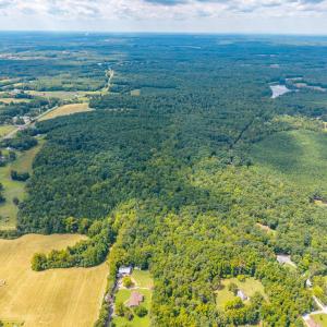 Photo #8 of Atwell Lane, Keysville, VA 39.8 acres