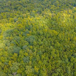 Photo #11 of Atwell Lane, Keysville, VA 39.8 acres