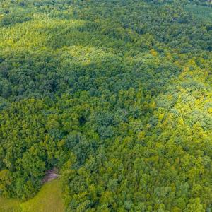 Photo #10 of Atwell Lane, Keysville, VA 39.8 acres