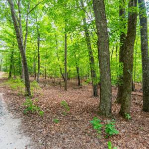 Photo #2 of Atwell Lane, Keysville, VA 39.8 acres