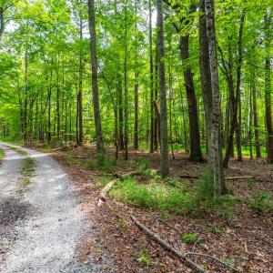 Photo #13 of Atwell Lane, Keysville, VA 39.8 acres